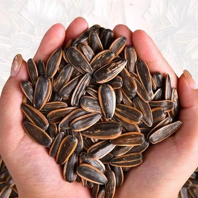 Popular in Amazon: delicious and healthy snack roasted sunflower seeds bulk sale