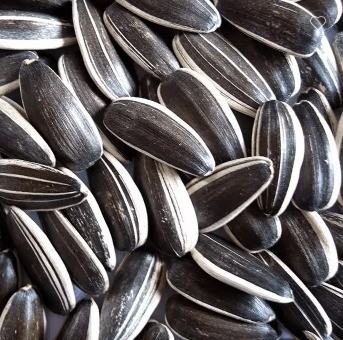 Efficiently Meet Customer Requirements with Sunshine Grove Kernels