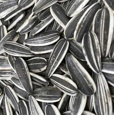Sunflower Seeds 601 The Perfect Addition to Your Product Line