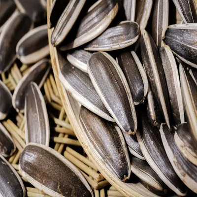 Golden Kernel Harvest The B2B Harvesting Solution for Guaranteed Satisfaction