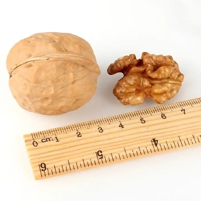 Raw Walnuts in Shell Resealable Bulk Bag for Ultimate Freshness Whole Walnuts for a Healthy Snack