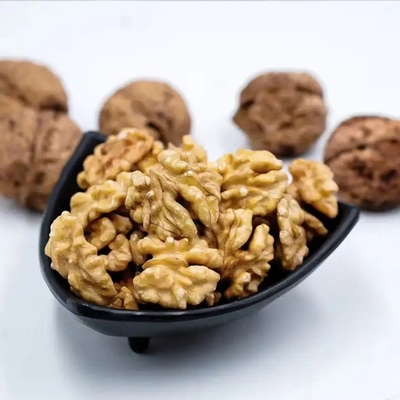 Walnut wholesale kernel walnut Factory price Food supplements walnuts peptide