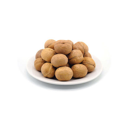 Wholesale Walnuts in shell all natural product good quality supplier walnuts for sale