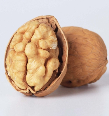 Walnut Chinan Manufacturer Xin2 walnut In shell Best Price Delicious Light Brown Top Grade Amazon’s best-selling products