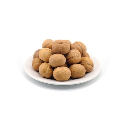 Factory wholesale Hot sale 185/33/xin2/xingfu walnut in shell at cheap price Hot selling agricultural products