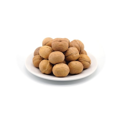 Wholesale China walnut in shell 32mm walnuts fresh with cheap price Amazon’s best-selling products