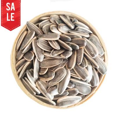 High Grade New Crop Inner Mongolia Premium Quality Organic Bulk Large Sunflower Seeds for Sale