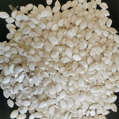 Discover the Deliciousness of Fried Snow White Pumpkin Seed